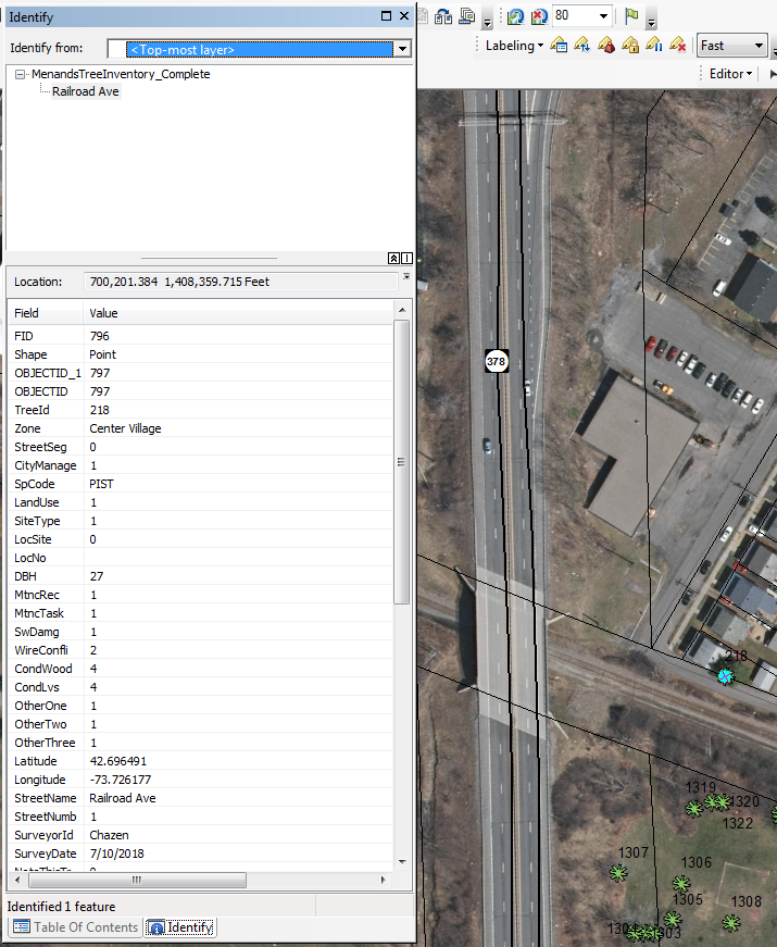 This image shows where tree is meant to be. If you look at other picture provided, the latitude and longitude have not been updated after using the identify tool on both. 